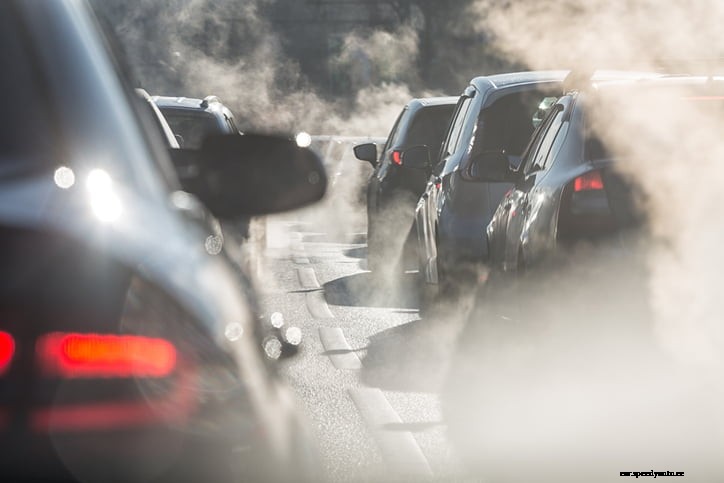 Am I Allergic to My Car? Common Allergens and How to Tackle Them