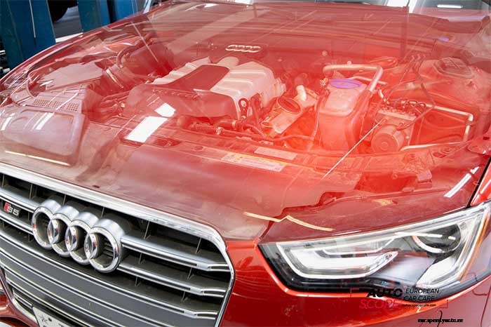 What is Wrong with Your Audi’s Power Steering?