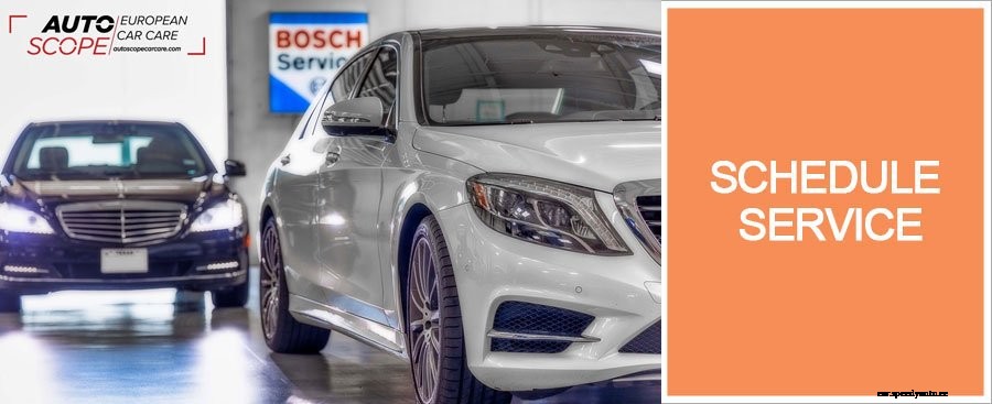 Mercedes Flex C Service