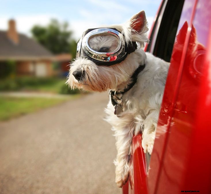 Vehicle Air Conditioning: The FAQs