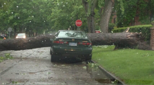 Storms Damage Cars Across Southern Minnesota 