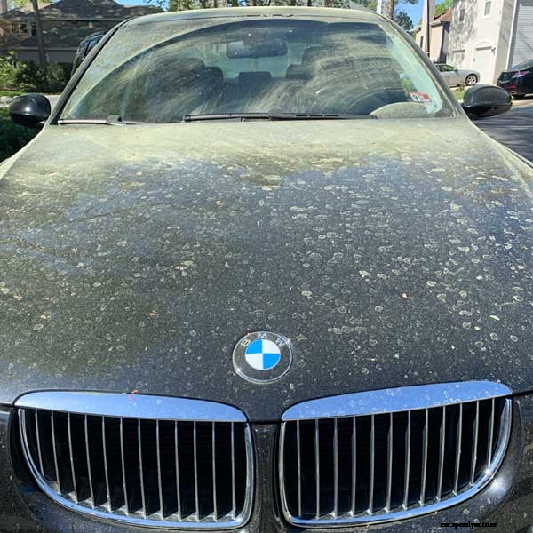 Spring Cleaning … Wash Your Car