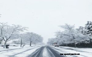 Winter is Coming! Plan Ahead to Make Sure Your Junk Car is Ready