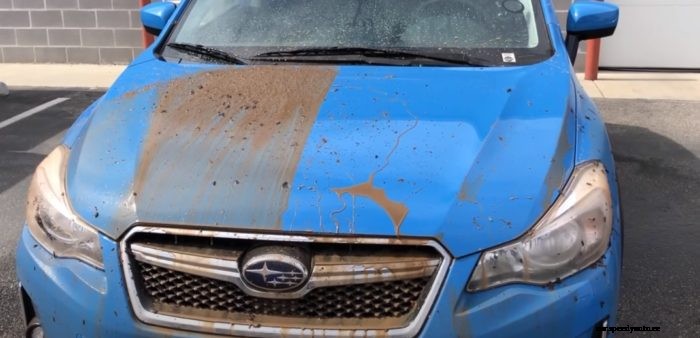 Applying Ceramic Coating on Cars