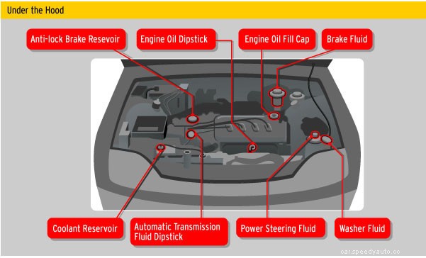 How to Check your Fluids Levels Part Two