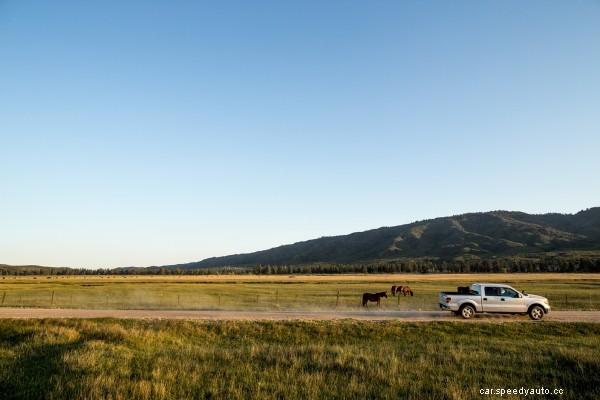 Guide to Cargo Tie Downs: Keeping Your Cargo Secure