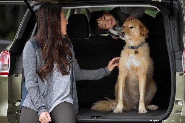 How to Dog Proof Your Car