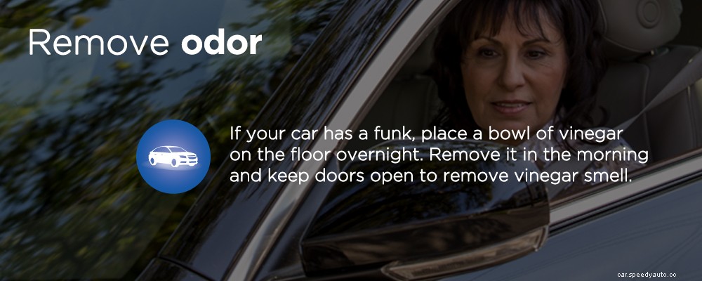 Tips for Keeping Your Car Clean with Kids [Slideshow]