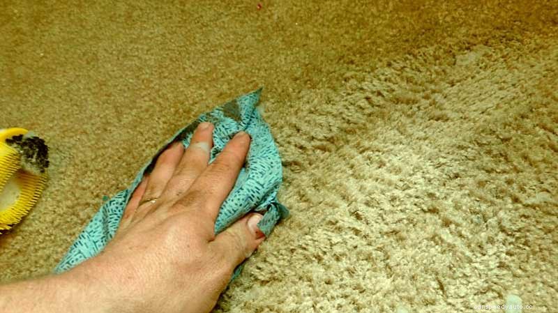 Stains Be Gone! How to Clean Car Upholstery And Carpet