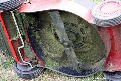 Easy Lawn Mower Maintenance Checklist For Summer Grass Care