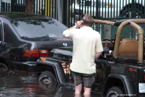 How to Get Rid of Mold in a Car