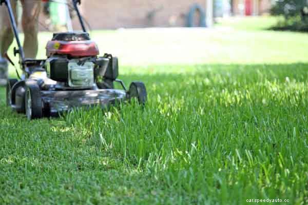 Identifying a Lawn Mower Engine Popping Sound and Possible Fixes