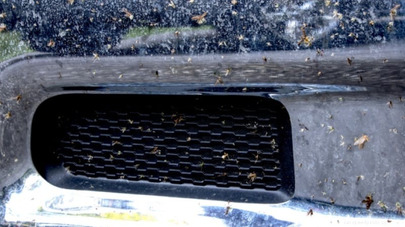 How to Get Bugs Off Car? Super Easy Tips