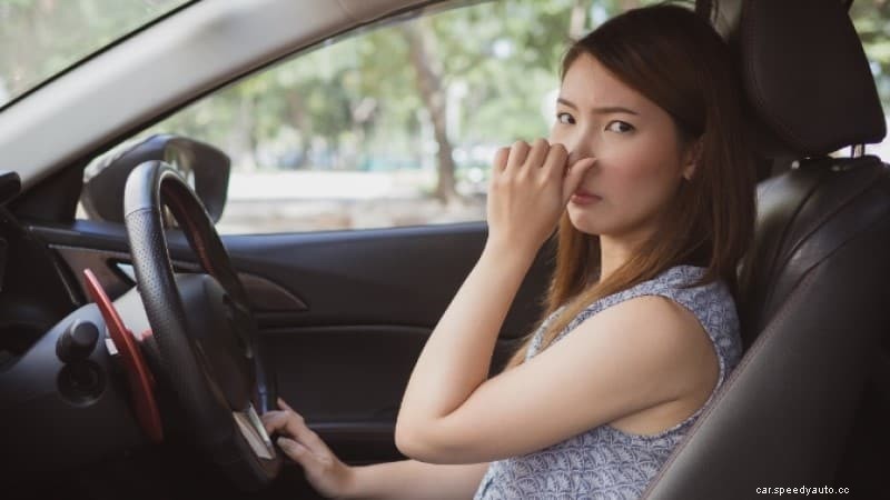 Vinegar Smell in Car: Causes and How to Fix It ?