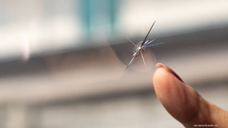 How to Stop A Windshield Crack From Spreading?