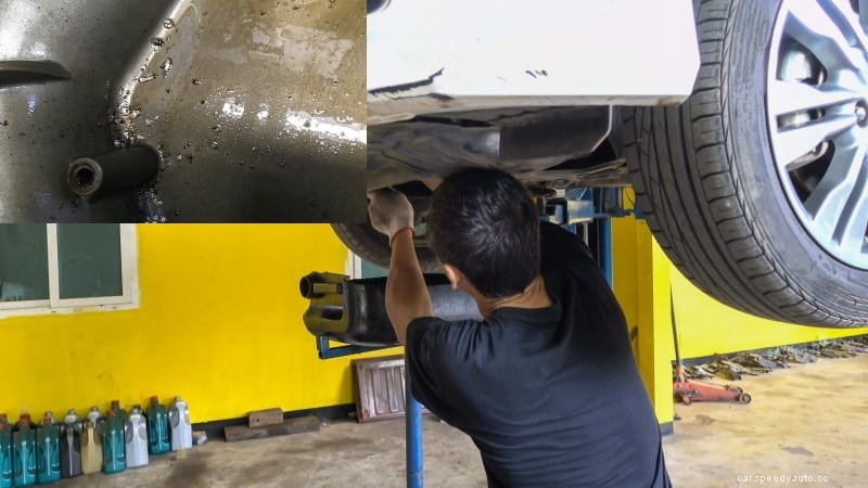 What is Metal Shavings in oil: Causes and What to Do