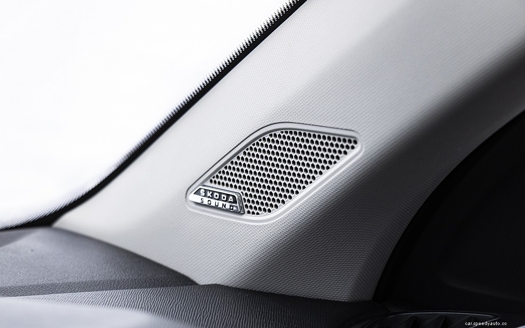 Skoda Kushaq  Images