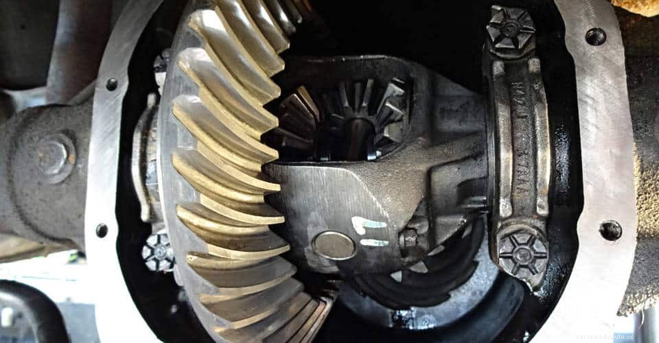 Rear Differential Replacement And Cost