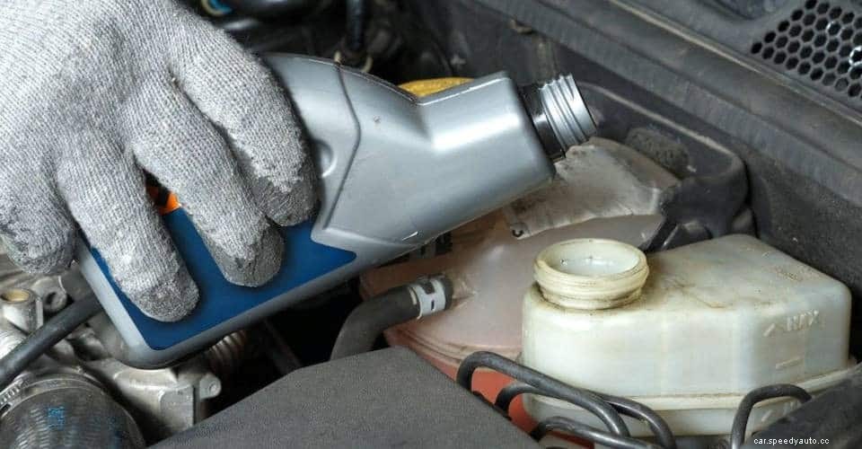 Brake Fluid Change Cost