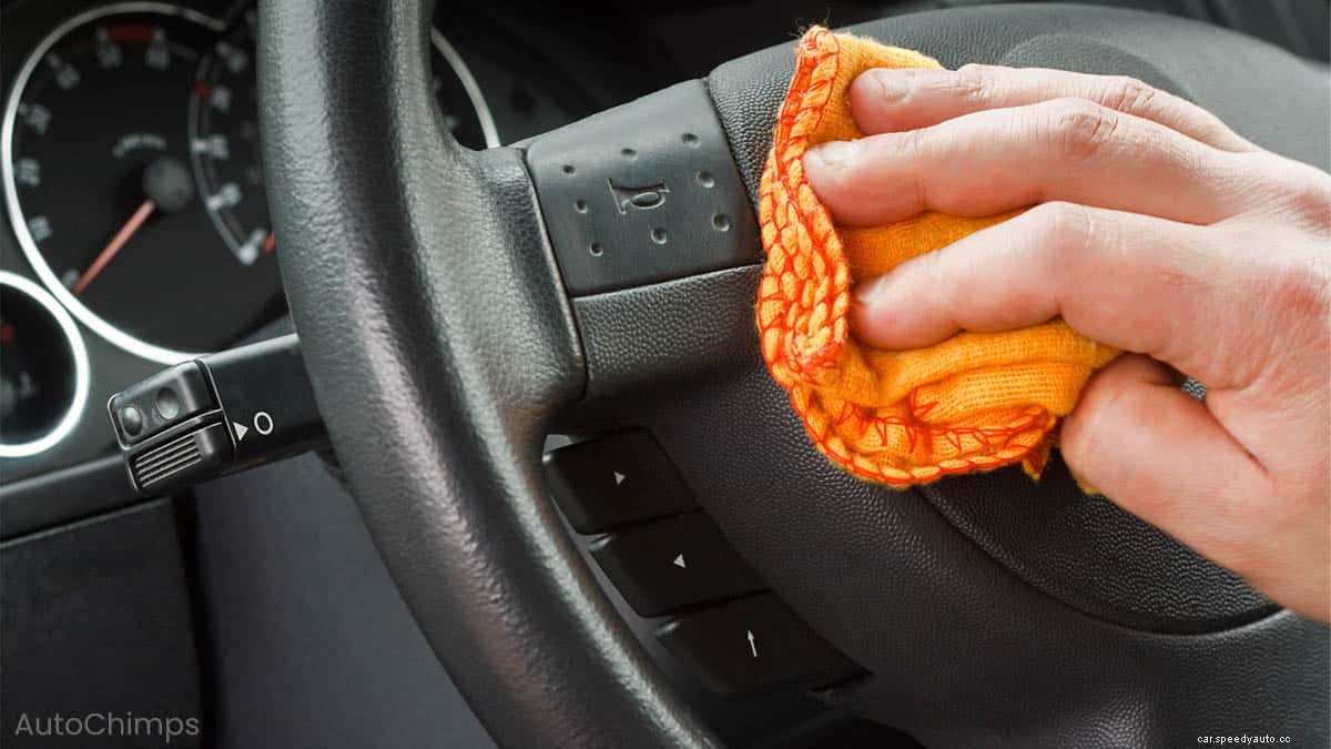 How To Get Rid Of Mold In Your Car