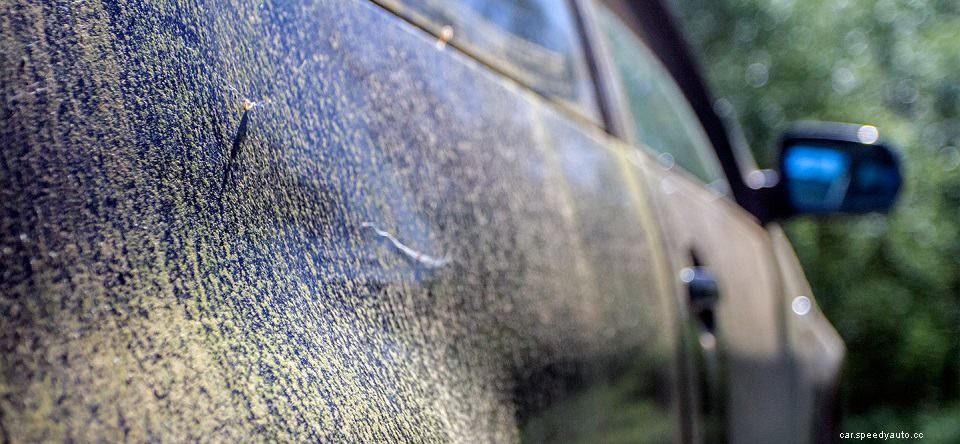 How To Get Rid Of Mold In Your Car