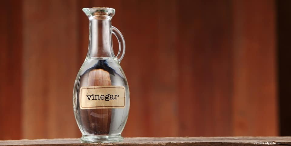 How To Get Rid Of Mold In Your Car