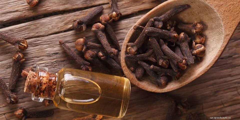 How To Get Rid Of Mold In Your Car