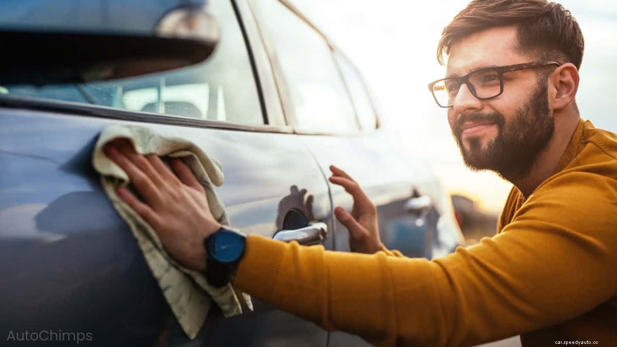 How To Remove Tree Sap From Your Car