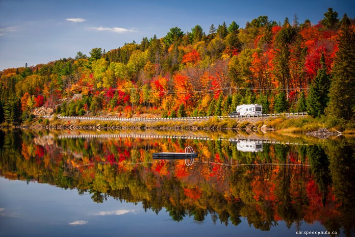 Everything You Need to Know about Leaf Peeping