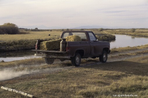 What Kind of Car Matches Your Personality?