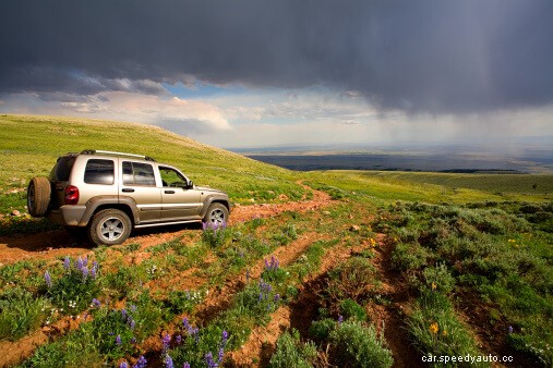 What Kind of Car Matches Your Personality?