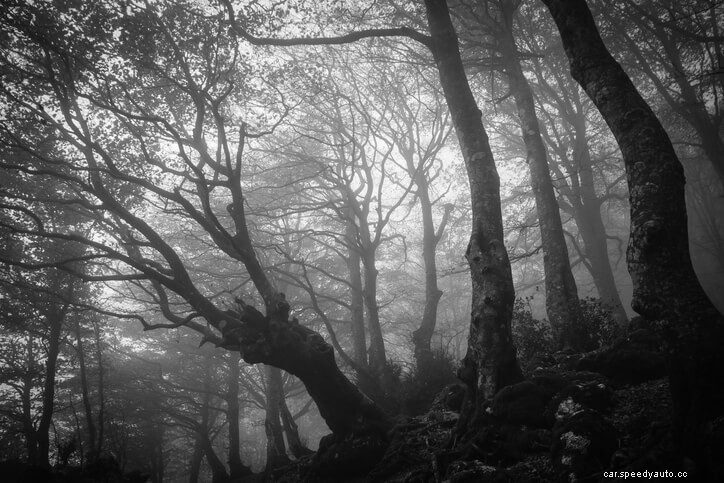 13 of the Most Haunted Places in America