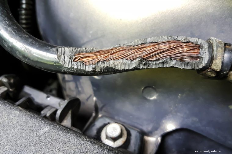 15 Strangest Things Mechanics Have Found in Cars