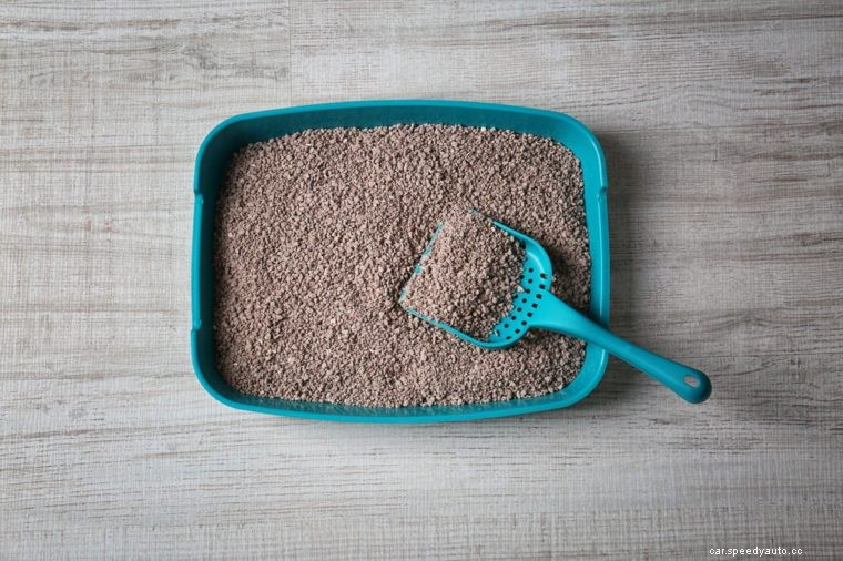 15 Strangest Things Mechanics Have Found in Cars