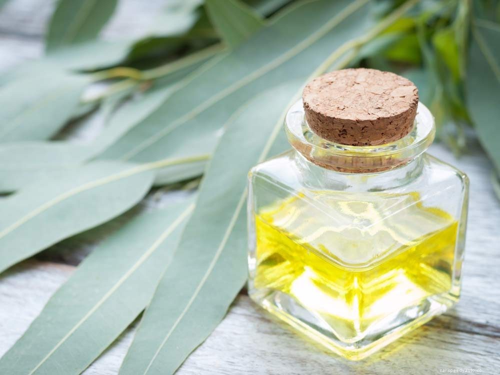 Car Freshening Hacks You Probably Haven’t Thought Of