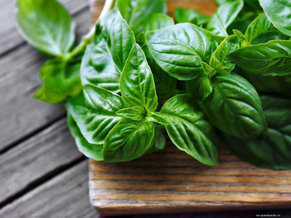 Car Freshening Hacks You Probably Haven’t Thought Of