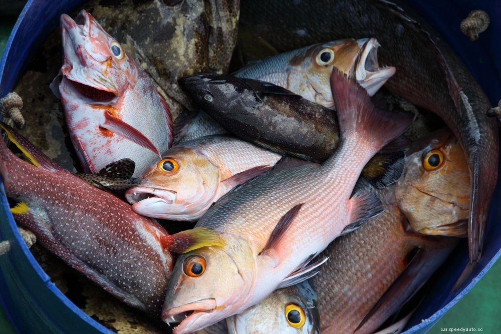 15 Crazy Things Car Mechanics Have Seen on the Job