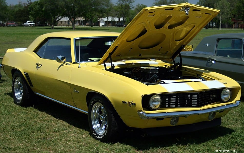 How To keep Mice Away Of Your Car Engine?