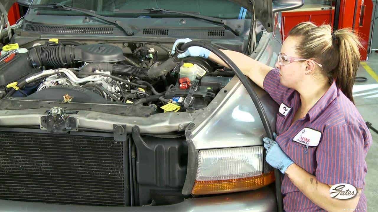 A Quick Guide on Maintaining Your Cooling System