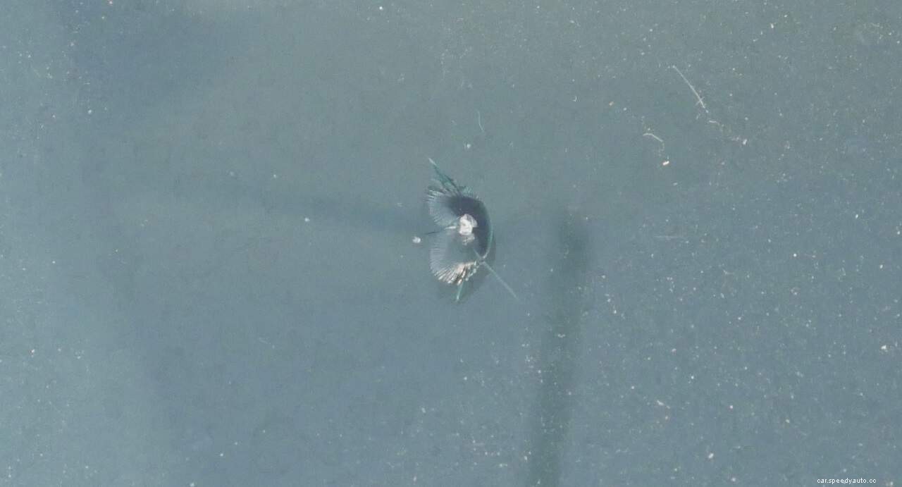 Should I Repair a Windshield Chip?