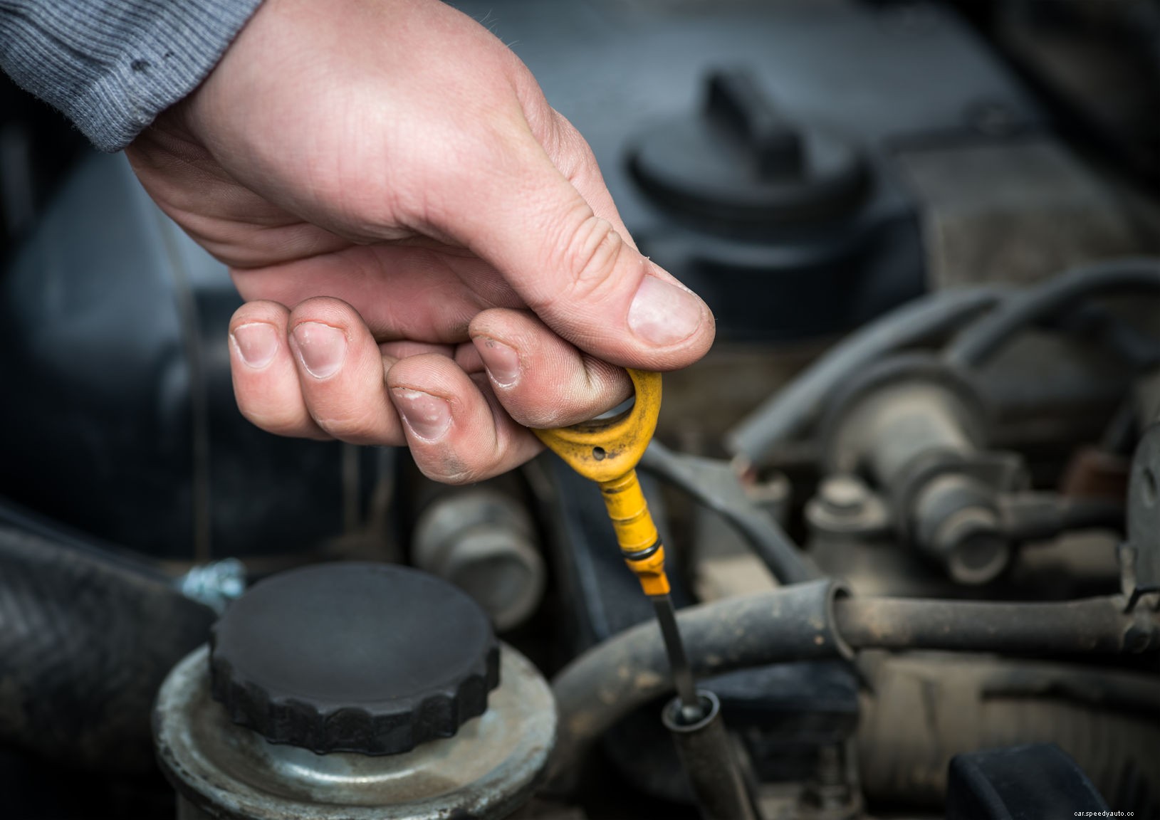 Get Roadtrip Ready for the Chicago Summer – Oil Changes are a Must-Do!
