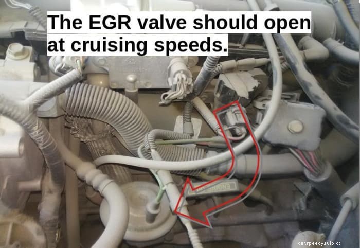 Possible Causes for a P0401 Code From Your EGR