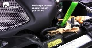 Everything You Need To Know About Cars For Beginers