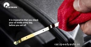 Everything You Need To Know About Cars For Beginers