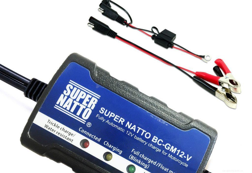 Top 10 Best Trickle Charger Reviews 2021