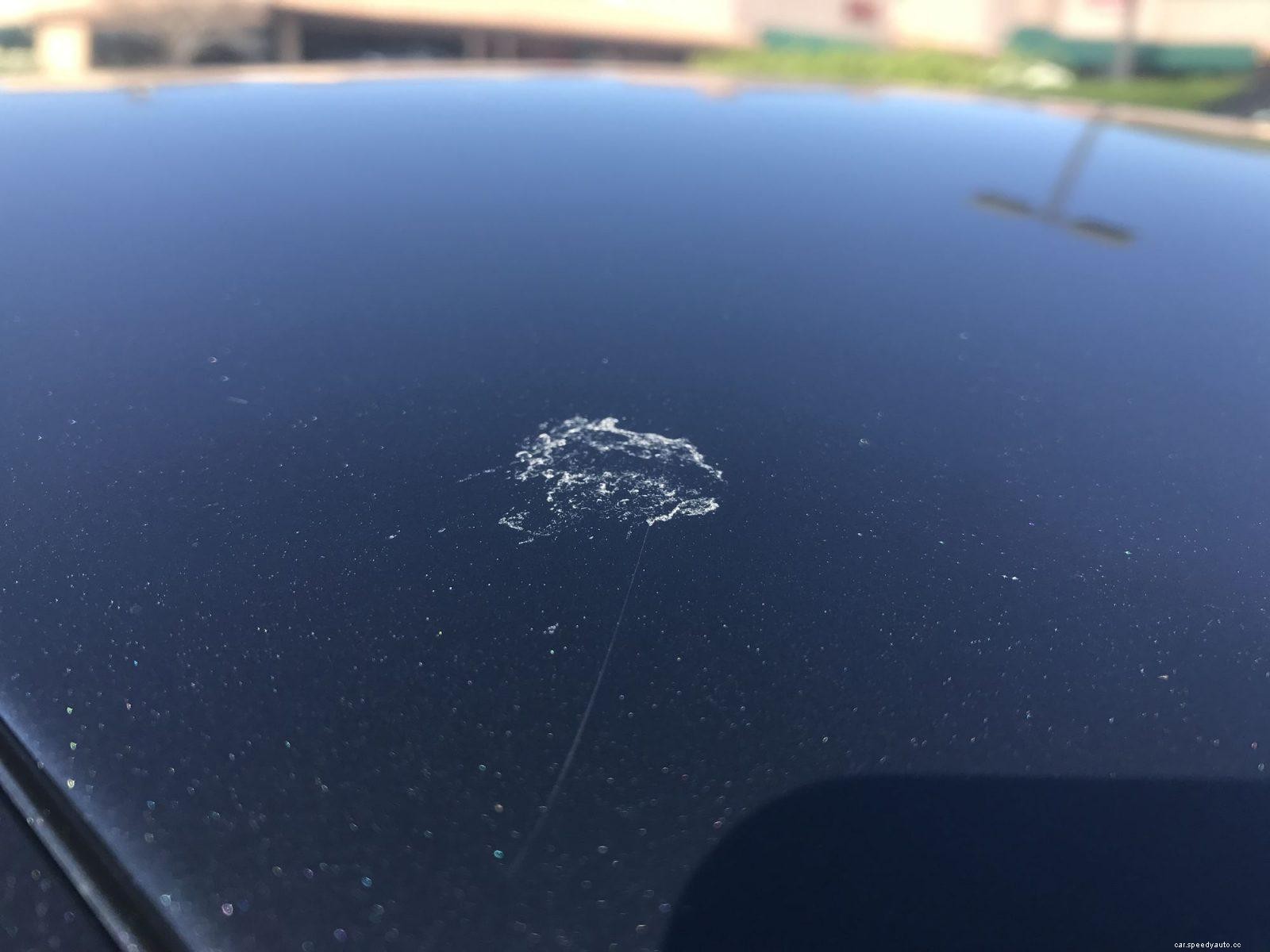 How to Recover the Car Paint Damage from Bird Droppings