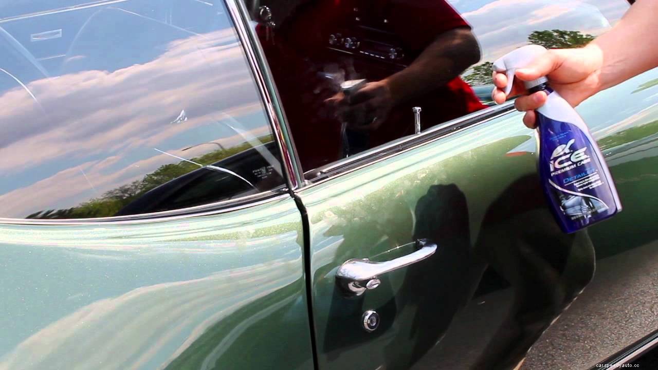 How to Recover the Car Paint Damage from Bird Droppings