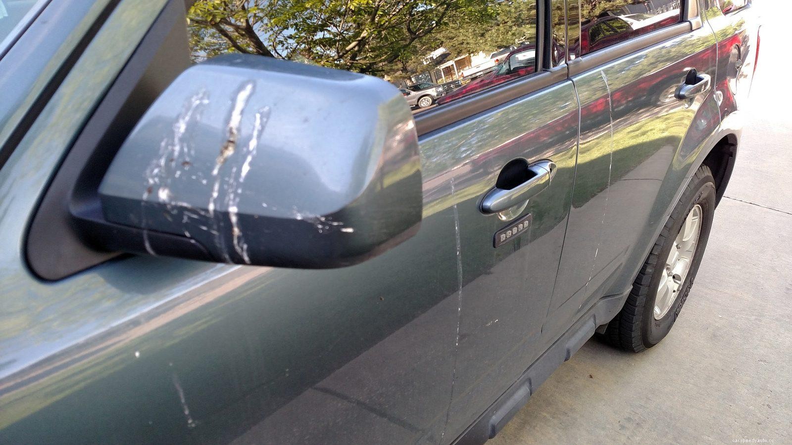 How to Recover the Car Paint Damage from Bird Droppings