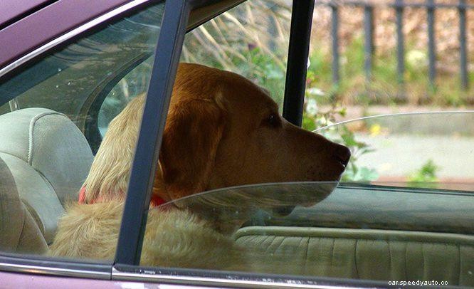 Tips For Using Car AC In Hot Weather More Efficiently