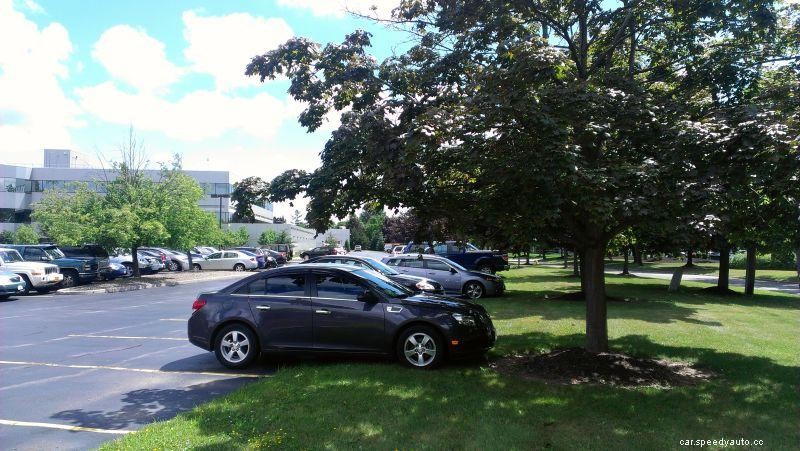 Summer Tips for Cars: Fire Prevention in Hot Weather